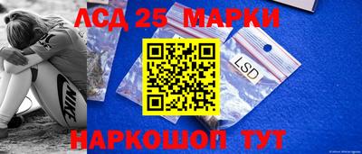 индика Дубна