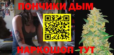 индика Дубна
