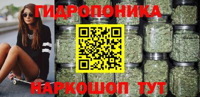 индика Дубна