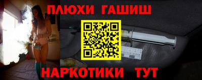 индика Дубна