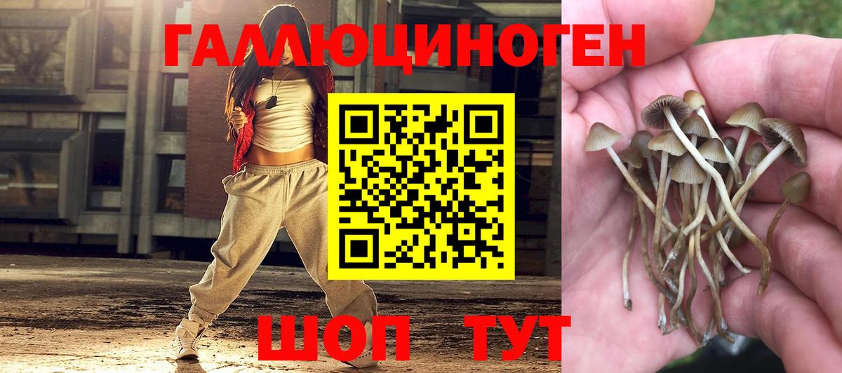 Миллерово  Псилоцибиновые грибы мухоморы  Вход с VPN  Псилоцибиновые грибы MAGIC MUSHROOMS 