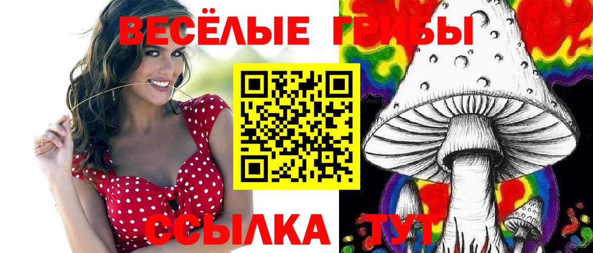 Галлюциногенные грибы MAGIC MUSHROOMS Миллерово